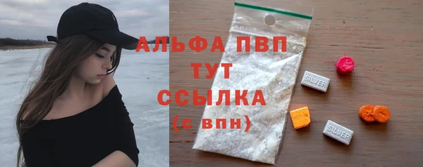 прущие грибы Касимов