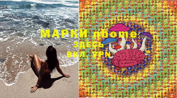 стаф Киренск