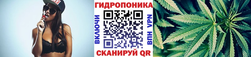 МЕГА ссылки  Нижняя Салда  Каннабис семена  где найти наркотики 